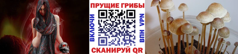 Галлюциногенные грибы мицелий  Вольск 