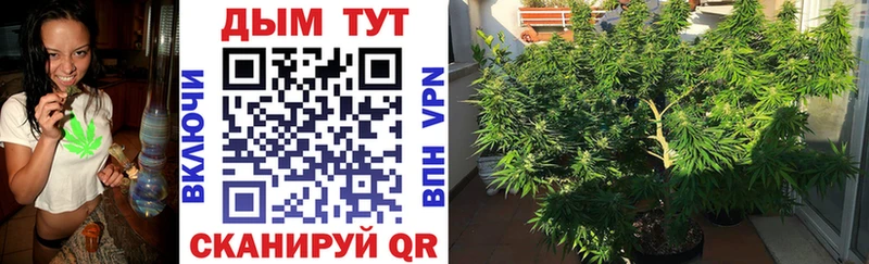 закладки  Вольск  Конопля марихуана 